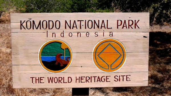 Национальный парк Комодо ограничат для посещения